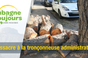 Massacre à la tronçonneuse administrative